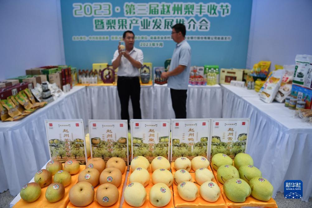 捕鱼游戏赚钱换人民币的网页